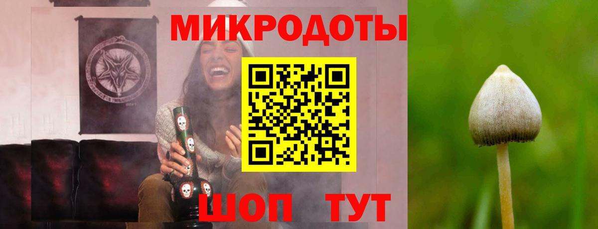 Псилоцибиновые грибы мицелий Глазов